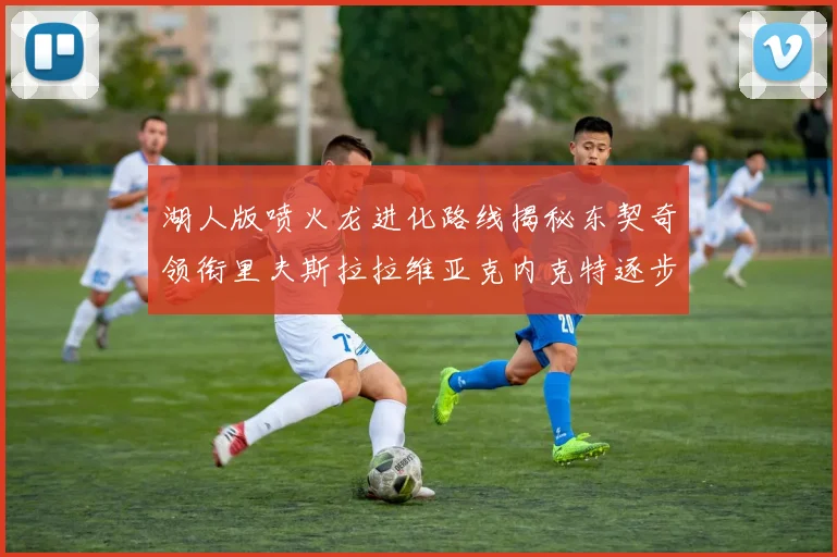 湖人版喷火龙进化路线揭秘东契奇领衔里夫斯拉拉维亚克内克特逐步崛起